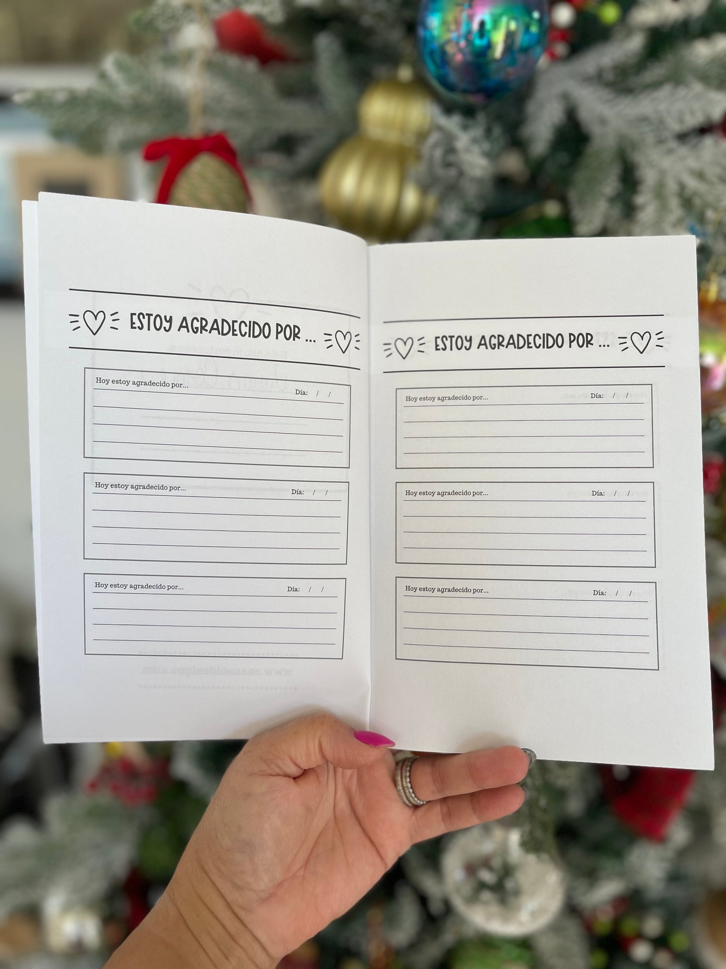 Diario de Gratitud Bundle