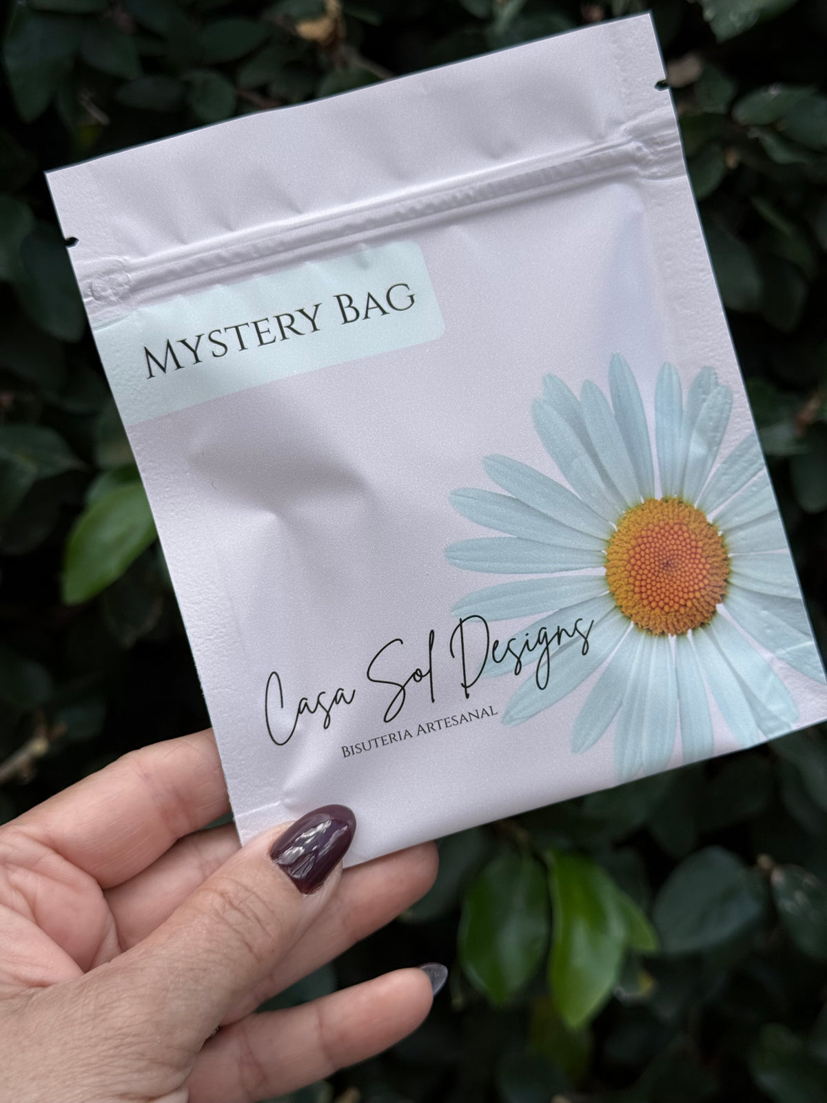 Mystery Bag